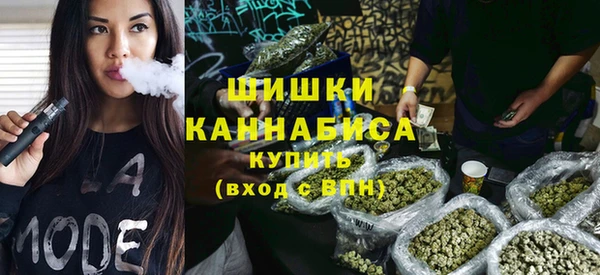 сатива Верхний Тагил