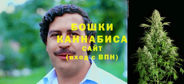 сатива Верхний Тагил